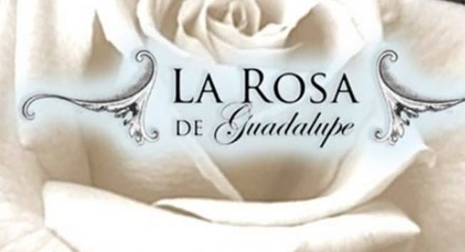 rosa de guadalupe